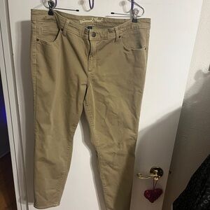 💝 18W Universal Thread Khaki Skinny Jeans